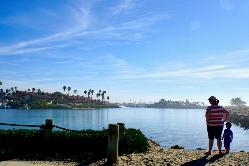 Day at Marina Park