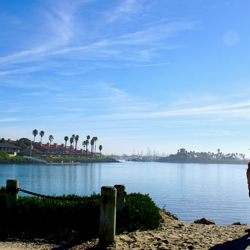 Day at Marina Park