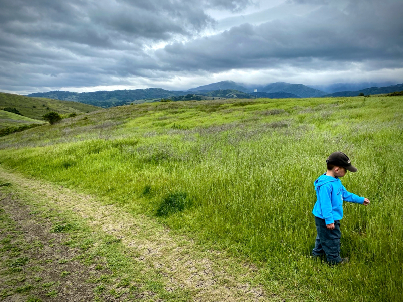 Santa Teresa's Green Hills
